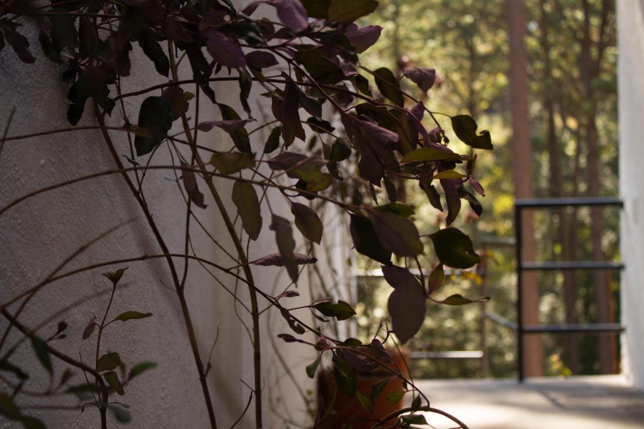 Encino House Villa Valle de Bravo Exterior photo